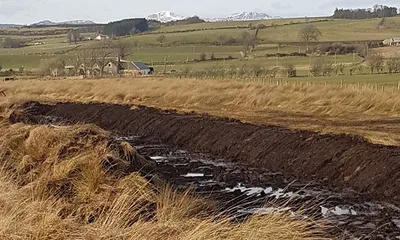 Peatland Restoration — Drumclog Plant