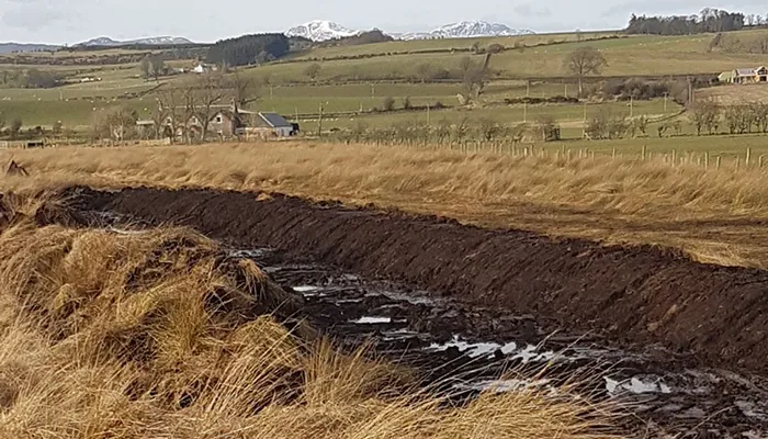 Peatland Restoration — Drumclog Plant